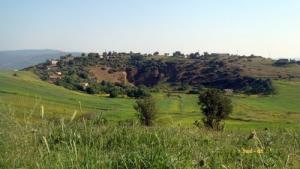 Verdure de Boucheghouf