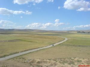 Sur la périphérie de Guelma