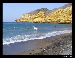 صورة من شاطئ الزوانف (بلدية بني صاف) 2