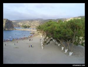 شاطئ  موسكردة  في فصل الصيف (ولاية تلمسان) 1