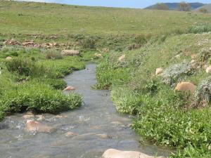 منظر طبيعي من ضواحي بلدية 