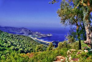 Plage de Oued Bokrate (Côte de Annaba)
