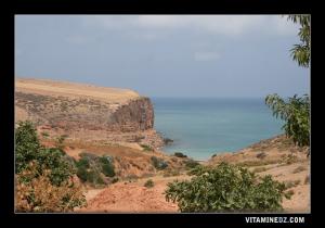 منظر من شاطئ 