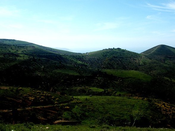 صورة من منطقة 