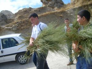 عيد الفطر بقرية  تاخليات  8