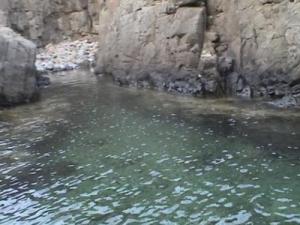 منظر من ساحل  ڨلڨاميز  ببلدية  شطايبي