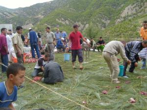 الوزيعة بمناسبة عيد الأضحى في قرية  أغلاد  (بلدية المروج) 6