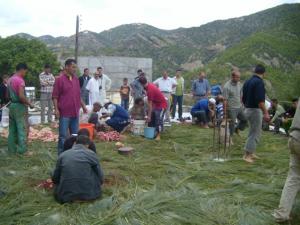 الوزيعة بمناسبة عيد الأضحى في قرية  أغلاد  (بلدية المروج) 7