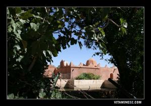 ضريح سيدي موسى و أبناؤه الثلاث في  لالة صفية  (بلدية تيوت)