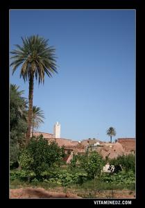 حدائق بلدية تيوت