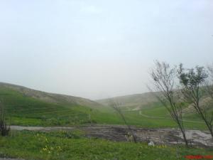 Paysage de Oued Zenati (Wilaya de Guelma)
