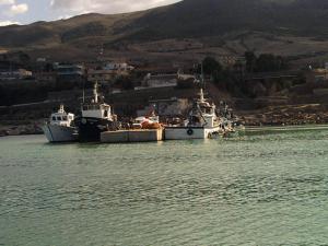 ميناء الصيد البحري ببلدية  المرسى  (1)