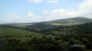 Bouchegouf (Les montagnes a l'Est de Boucheghouf)