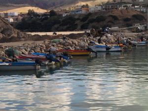 الميناء الجديد لبلدية  المرسى