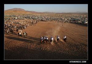 وعدة  سيدي أحمد المجدوب  ببلدية  عسلة  (3)