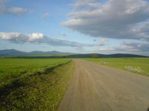 Une route traversant les champs agricoles de Khezara