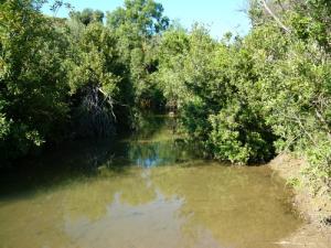 Paysage de Hammam Ouled Ali