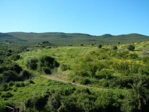 La verdure de Hammam Ouled Ali au Printemps