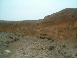 Oued Bardo (Périphérie de Guelma)
