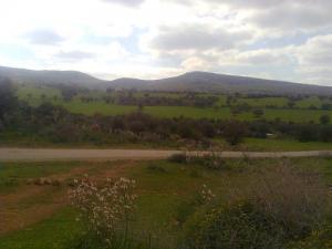 Paysage de Guelma au Printemps