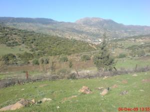 Paysage aux alentours de Taya (Wilaya de Guelma)