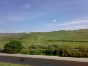 Verdure près d'El Fedjoudj