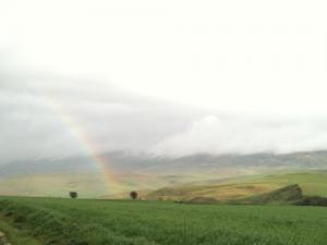 Journée pluvieuse sur El Fedjoudj