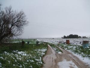 Neige sur El Fedjoudj