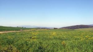 Paysage Printanier dans la région de Meguesmia