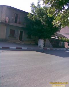 Centre ville d'El Fedjoudj