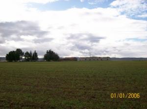 Champs agricoles à Guelma