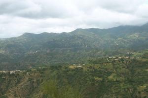 غابات منطقة  بشوالي  ببلدية  برباشة  (ولاية بجاية)