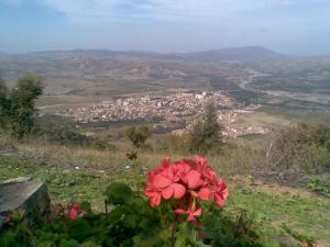 صورة شاملة لبلدية  تادمايت