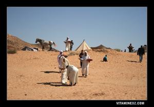 إطعام الضيوف بوعدة سيد أحمد المجدوب (بلدية عسلة)