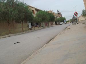 شارع 123 مسكن بمدينة  سيدي عيسى