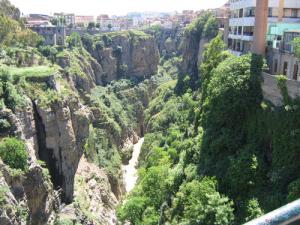 Gorges du Rhumel (Wilaya de Constantine)