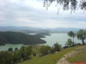 منظر خلاب من غابات  المحامدية