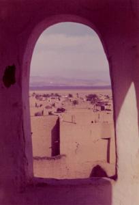 صورة ملتقطة من قبة ضريح  سيدي عقبة