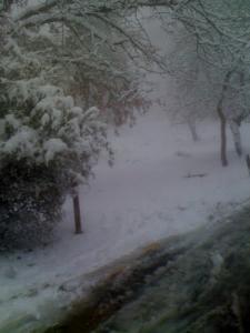 Djbel Elwahche sous la Neige, Constantine