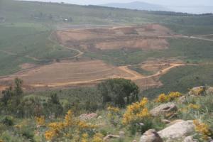 Autoroute Est-Ouest (Constantine)