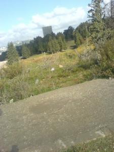 Vue sur la Tour Administrative de l'Université de Constantine
