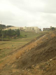 صورة من ضواحي مدينة 