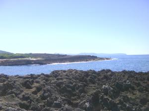 منظر من شاطئ 