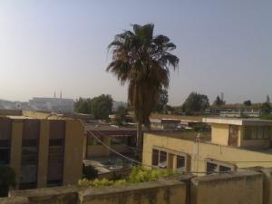 Aux alentours de Mentouri (Centre ville de Constantine)