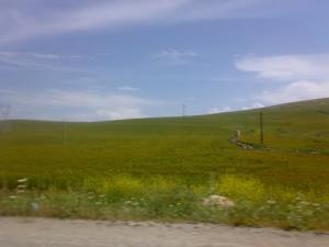 Sortie de la région de Bounouara à Constantine