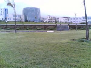 Université  Ali Mendjeli