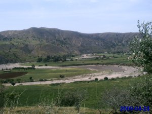 منظر طبيعي بضواحي  عين طارق