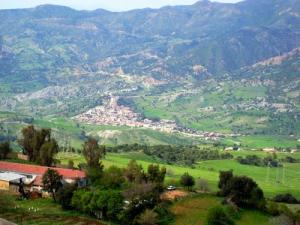 Verdure et urbanisation à Tamezguida