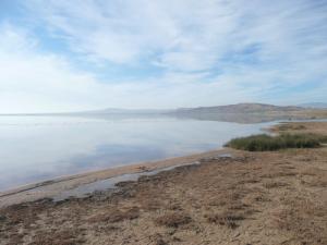 Lac de Boughzoul, Médéa