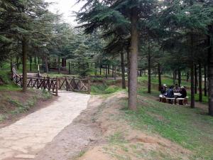 Le Parc Familial de Ben Chicao